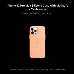 iPhone 12 Pro Max silicone apple case